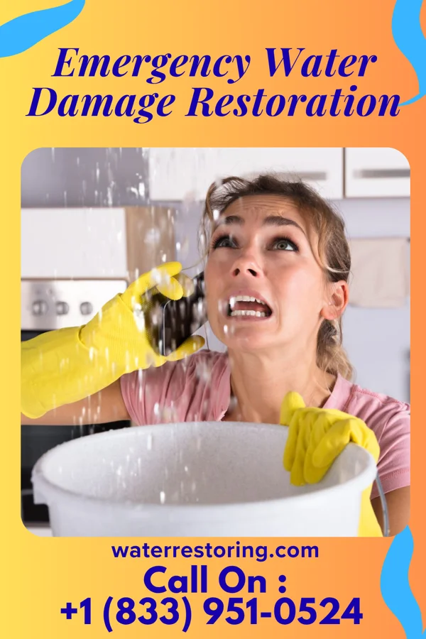 Emergency Water Damage Restoration in Cordova, IL
