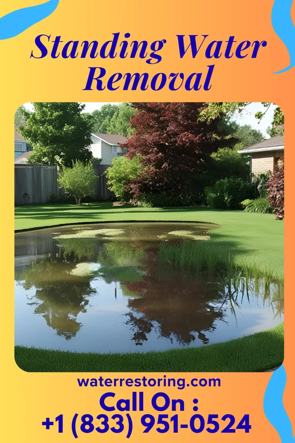 Standing Water Removal in Cordova, IL